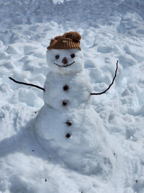 Grey Warmblood, Romanticising Winter, Snowman Aesthetic, Anna Aesthetic, Hot Chocolate Weather, Winter Core, Olaf Snowman, Snowman Photos, Winter Mood Board