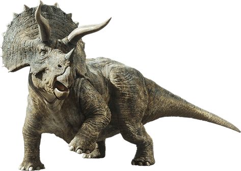 Jurassic World Fallen Kingdom: Triceratops by sonichedgehog2 Jurassic Park Series, Jurassic Park Toys, Fallen Kingdom, Lego Jurassic, Lego Jurassic World, Jurassic World Fallen Kingdom, Dinosaur Pictures, Dinosaur Illustration, Jurassic World Dinosaurs