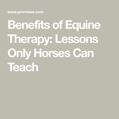 Equine Therapy Activities, Therapy Lessons, Horse Healing, Therapeutic Riding, Mindfulness Therapy, Animal Therapy, Horse Lessons, Therapy Center, Riding Tips