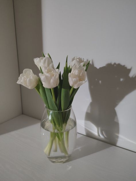 Tulip In Vase, March Flowers, Tulips In Vase, Vase Of Flowers, Flowers Vase, White Tulips, Bedroom Inspo, Flower Vases, Tulips