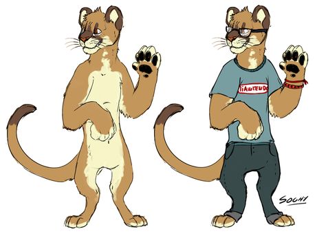 Cougar Fursona, Puma Fursona, Zootopia Oc, Pumas Animal, Fursona Ideas, Oc Inspiration, Mountain Lion, Kittens Playing, Cute Doodle Art