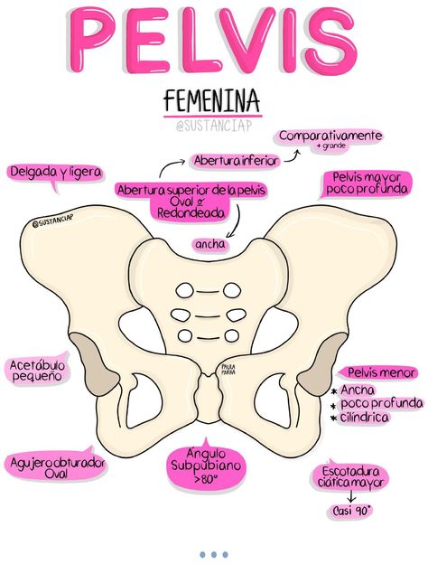 ESQUEMAS MÉDICOS HECHOS POR SUSTANCIAP | Iris Tolentino | uDocz Studying Medicine, Medicine Notes, Medicine Studies, Medical Student Study, Medicine Student, Medical School Studying, Medical School Essentials, Medical Anatomy, Medical Studies