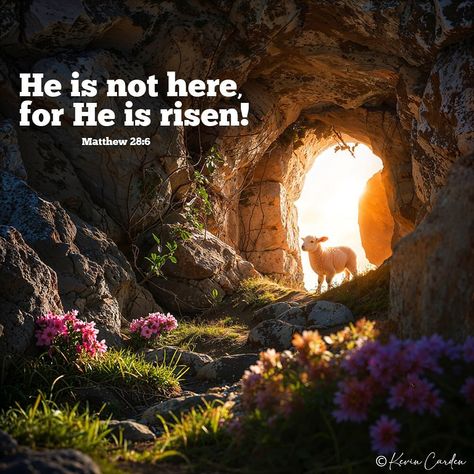 Photo of the day - He is risen! He is not here: for he is risen, as he said. Come, see the place where the Lord lay. (Matthew… | Instagram Jesus Has Risen Easter Bible Verses, He Is Risen Jesus Video, He Is Risen Artwork, Easter Videos Jesus Risen, He’s Not Here He’s Risen, Kevin Carden, Risen Lord, Easter Week, Faith Cross