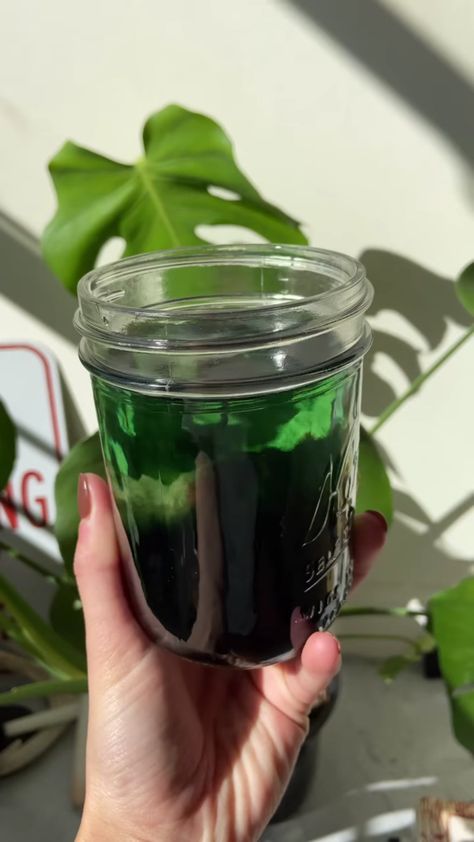 Clorophilla Water, Chlorophyll Water Aesthetic, Chlorophyll Water, Liquid Chlorophyll, Chill Girl, Hair And Skin Vitamins, Skin Vitamins, Pregnancy Videos, Water Aesthetic