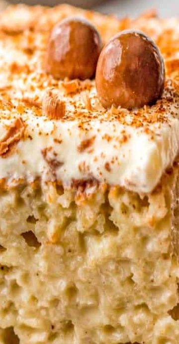 Baileys Tres Leches Cake, Tre Leches Cake Recipe, Carrot Cake Tres Leches, Pineapple Tres Leches Cake, Christmas Tres Leches Cake, Tres Leches Cake Flavors, Coquito Tres Leches Cake, Butter Pecan Tres Leches Cake, Pistachio Tres Leches Cake