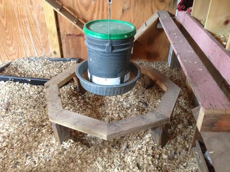 Poop free, Rodent free, Shaving free simple feeder | BackYard Chickens - Learn How to Raise Chickens Aesthetic Farm Animals, Farm Life Aesthetic, Aesthetic Farm, Chicken Aesthetic, Chicken Feeder Diy, Poultry Feeders, Chicken Poop, How To Raise Chickens, Backyard Chicken Coop Plans