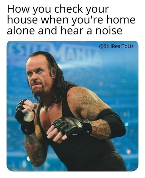 Wwe Funny Pictures, Wwe Quotes, Funny Wrestling, Wrestling Memes, Wwe Funny, Roman Reigns Shirtless, Undertaker Wwe, Best Funny Photos, Wwe Pictures