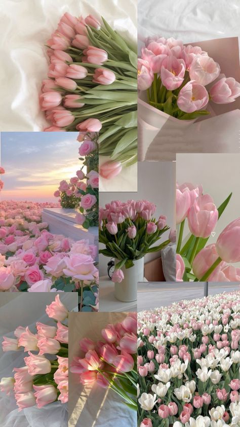 Pink Tulips, Tulips, Collage, Flowers, Pink, White, Color