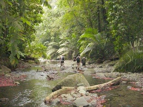 Darien Panama, Darien Gap, Around The World In 80 Days, American Continent, Pan American, South American, Heritage Site, World Heritage, World Heritage Sites