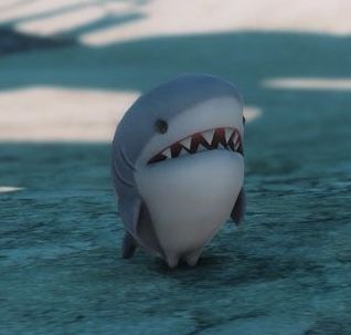 Shark Profile Pic, I Heart Sharks Pfp, Shark Puppy Art, Cute Shark Icon, Silly Sea Animals, Shark Pfp Anime, Major General Shark, Shark Pfp Cute, Cute Shark Picture