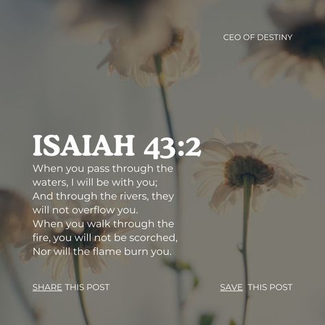 In the midst of life's storms, find your anchor in God's promises. 🌊✨ Are you feeling overwhelmed by life's challenges? Discover the peace that comes from trusting in God's unwavering presence and strength. Share your favorite verse that brings you calm during tough times, and let's uplift each other! 💬🙏 #PeaceInTheStorm #FaithOverFear #BibleVerses #GodsPromises #CalmInChaos #SpiritualStrength #TrustInGod God's Promises, Faith Over Fear, Inspirational Bible Verses, Life Challenges, Spiritual Connection, Life Moments, Gods Promises, Tough Times, The Peace