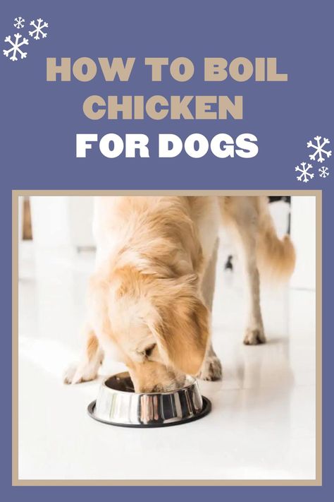 Dogs love chicken, and it’s easy to see why! It’s gentle on the tummy, packed with nutrients, and has an enticing aroma and flavor. But do you know how to serve it right? Find out in our latest article! #dogfood #dogdiet #boiledchicken #boiledchickenfordogs #caninediet #chickenfordogs #dogfoodrecipe Boil Chicken, Braised Chicken Breast, Chicken For Dogs, Boiled Chicken, Roasted Chicken Breast, Dog Diet, Air Fryer Healthy, Dogs Love, Have A Day