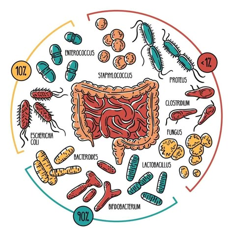 Functional Medicine Doctors, Tips Saludables, Medical Laboratory Science, Gut Brain, Flora Intestinal, Gut Microbiota, Dragon Boat Festival, Medical Laboratory, Gut Bacteria