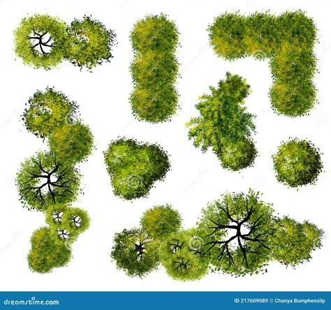 Abstract Green Tree top view. Illustration about forest, tree, white, green, mushrooms, painting, abstract, drawing, vegetables, background, layout, watercolor, grass - 217609089 Landscape Top View, Tree Plan Png, Drawing Vegetables, Mushrooms Painting, Top View Illustration, Tree Top View, Png Top, Trees Top View, Tree Photoshop