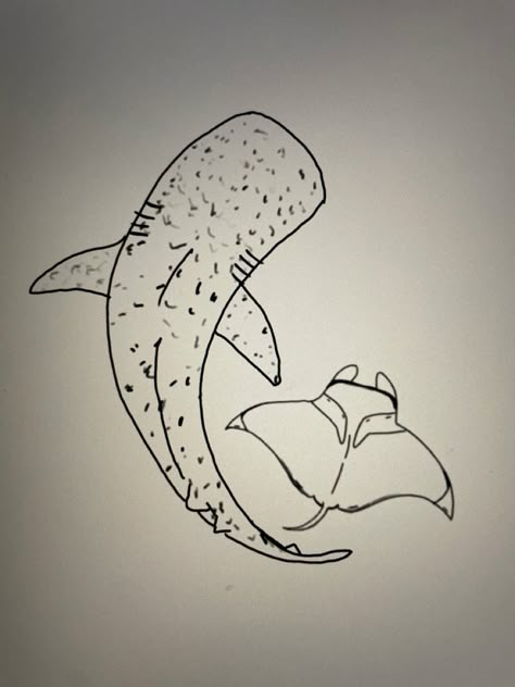 Easy Whale Shark Drawing, Whale Shark Drawing Easy, Whale Shark Drawing Sketches, Nurse Shark Drawing, Whale Shark Outline, Shark Drawing Simple, Whale Shark Sketch, Shark Drawing Easy, Whale Shark Drawing