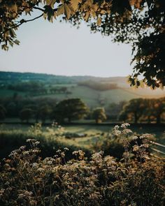 330 Nature Aesthetic ideas in 2022 | nature aesthetic, nature, aesthetic English Countryside Photography, The English Countryside, English Countryside Flowers, English Countryside Spring, Moody Spring Aesthetic, English Countryside Landscape, Countryside Aesthetic Wallpaper, English Countryside Wallpaper, Late Spring Aesthetic