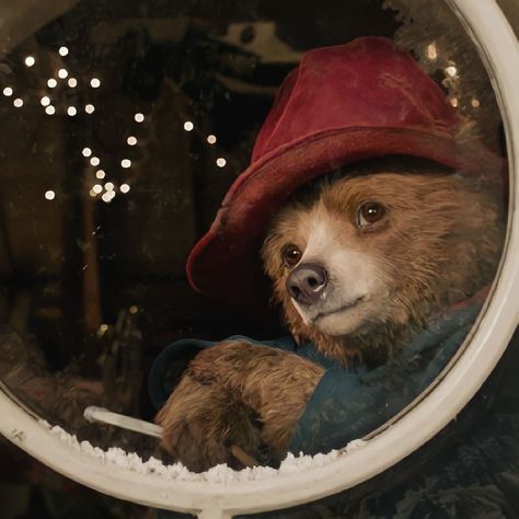 Bear Aesthetic, Paddington Bear, A Teddy Bear, Red Hat, Teddy Bear, Mirror, Red