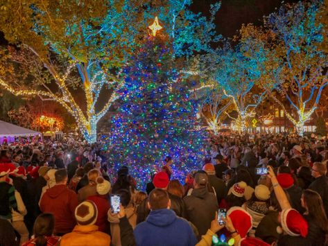 Julefest: A Solvang Christmas Tradition In SoCal Solvang Christmas, Solvang California, California Christmas, Santa Ynez Valley, Traditional Ornaments, Large Christmas Tree, Christmas Tale, Christmas Festival, Christmas Tradition