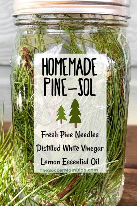 Pine Needle Cleaner, Pine Sol, Homemade Cleaning Supplies, Natural Cleaning Recipes, Diy Cleaning Solution, Homemade Cleaning Solutions, Astuces Diy, Homemade Cleaning Products, Natural Cleaners