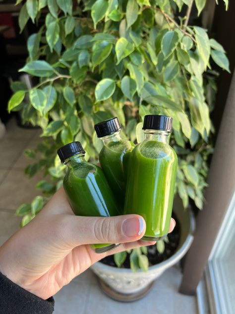 Juice shots green juice for healthy living Juice Shots Aesthetic, Green Juice Shots, Aesthetic Nutrition, Healthy Green Juice, Juice Shot, Juice Shots, Healthy Juicer Recipes, Wellness Shots, Juicer Recipes