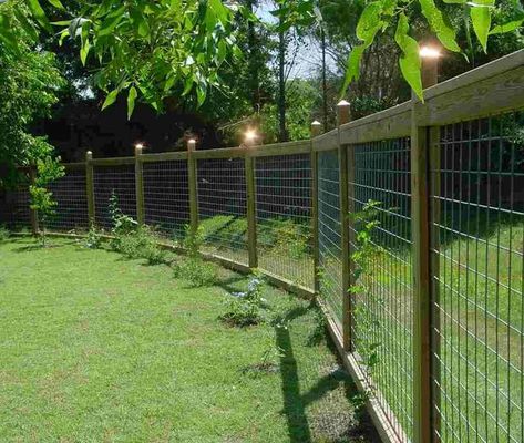 unusual fence ideas | View Source More Fence...: Cheap Privacy Fence, Cheap Garden Fencing, Diy Dog Fence, Diy Privacy Fence, Garden Fences, Diy Garden Fence, Deer Fence, Privacy Fence Designs, Cheap Fence