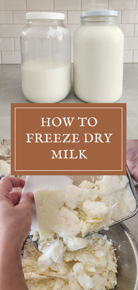 How to Freeze Dry Milk: A Step-by-Step Guide Dehydrating Goat Milk, Freeze Drying Milk, Freeze Dry Breastmilk Diy, Freeze Dried Breastmilk, How To Freeze Dry Herbs, Freeze Dried Milk, Freeze Drier Recipes, Things To Freeze Dry, Freeze Dried Baby Food