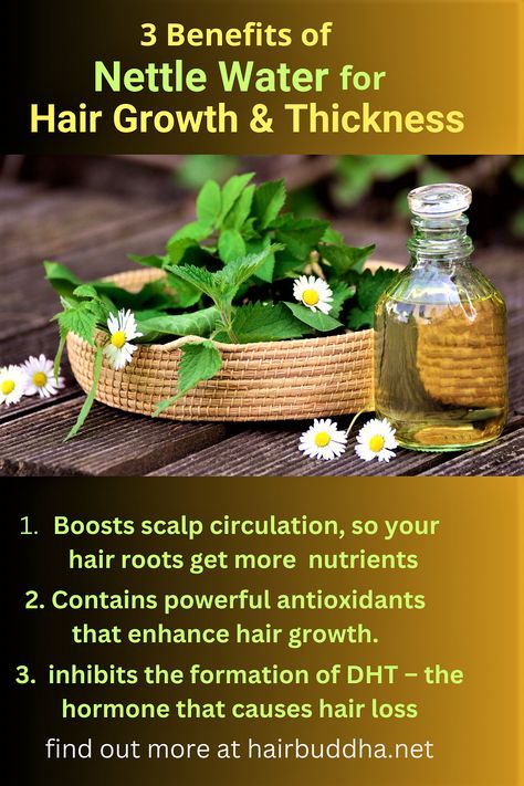 Nettle leaves in a woven basket and nettle water by its side in a glass bottle. Nettle Hair Growth, Nettle Hair Rinse, Stinging Nettle Recipes, Benefits Of Nettle, Diy Hair Recipes, Nettle Recipes, Tea Hair Rinse, Diy Hair Products Recipes, Nettle Tea