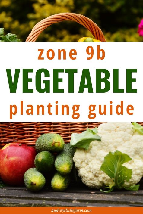 Are you a zone 9b gardener? If so, this complete planting guide will cover all the steps to growing a thriving vegetable garden. States which include zone 9b include Arizona, California, Hawaii, Louisiana, Nevada, Oregon, Texas, and Florida and so if that's you be sure to check out this guide! Louisiana Garden, Planting Zones Map, Zone 9 Gardening, Vegetable Planting Guide, Zone 9b, Vegetable Planting, Plant Hardiness Zone Map, Grafting Plants, Storing Vegetables