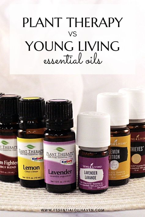 Plant Therapy Essential Oils Recipes, Young Living Valor, Young Living Lemon, Plant Therapy Essential Oils, Essential Oil Brands, Recipe List, Making Essential Oils, Essential Oil Plants, Diy Recipe