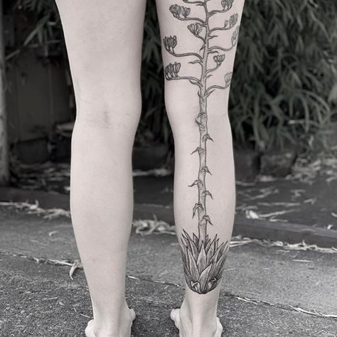 Century Plant Tattoo, Plant Leg Tattoo, Agave Tattoo, Crayon Tattoo, Tattoos Leg, Bloom Tattoo, Tattoos 2023, Century Plant