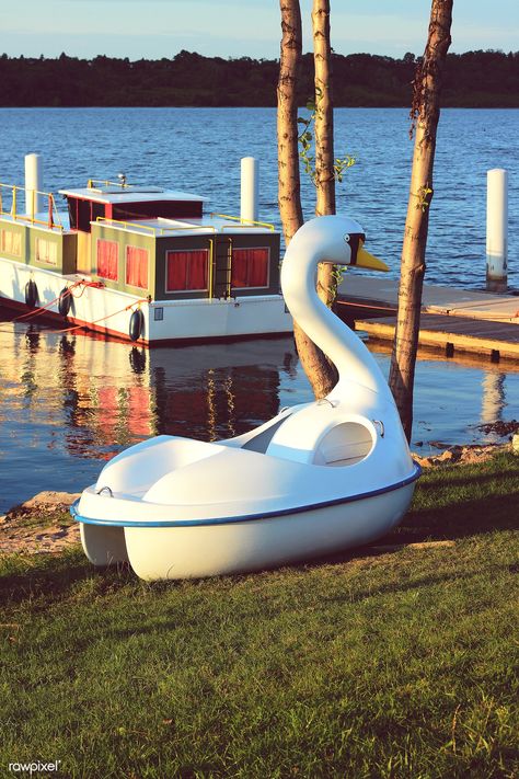 Boat Background, Swan Boat, Toddler Sleep Training, Lake Dock, Mute Swan, English Projects, Paddle Boat, Image Fun, Boat Dock