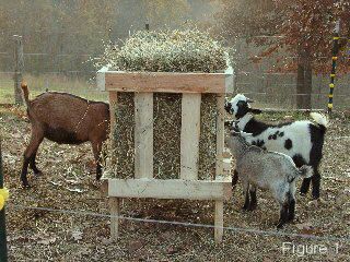 Do It Yourself Goat Feeder For Square Bales - http://www.ecosnippets.com/livestock-animals/do-it-yourself-goat-feeder-for-square-bales/ Goat Hay Feeder, Goat Feeder, Goat Shelter, Goat House, Goat Care, Goat Barn, Raising Goats, Pygmy Goat, Hay Feeder