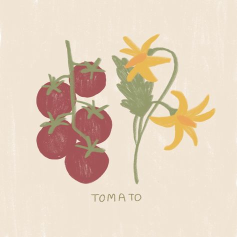 Tomato Flower, Tomato Drawing, Friday Love, Love And Co, Plant Drawing, Tomato Plants, A Fruit, March 17, Flower Drawing