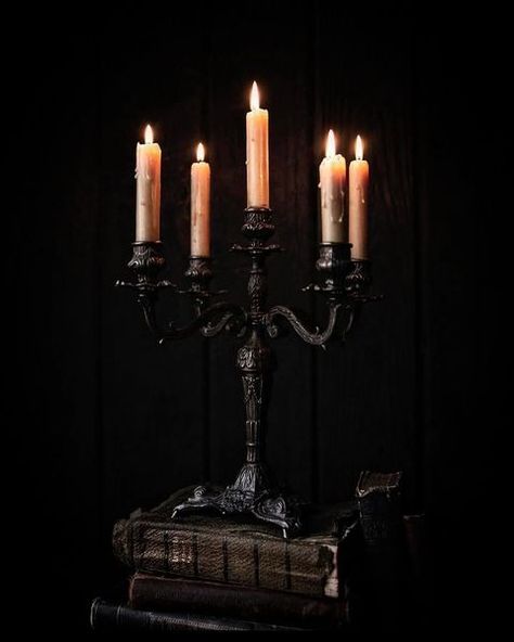 ⚜ Immortal Gothic ⚜ (@immortal_gothic) • Instagram photos and videos Gothic Library Aesthetic, Magician Aesthetic, Haunted Library, Gothic Library, Dream Library, Library Aesthetic, Aesthetic Light, Haunted Dolls, Candle Aesthetic