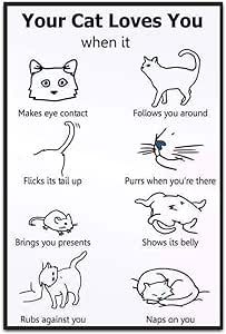 Katt Grejer, Cat Language, Animal Humor, Cat Hacks, Cat Info, Cat Care Tips, Kitten Care, Tin Metal, Cat Parenting