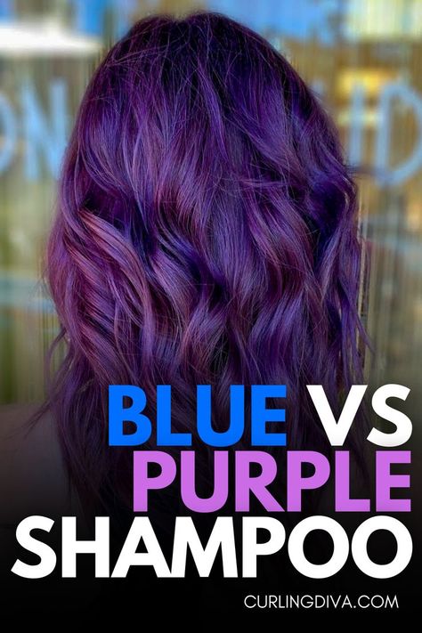 Blue vs Purple shampoo Purple Hair Shampoo, Blue Shampoo Before And After Blondes, Blue Shampoo Before And After, Blue Shampoo Before And After Brunettes, Purple Shampoo On Brown Hair, Blue Or Purple Shampoo, Best Shampoo For Colored Hair, Diy Purple Shampoo, Purple Shampoo Before And After