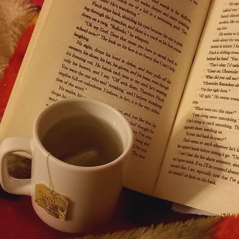 Ap Lang Aesthetic, Book And Tea Aesthetic, Audio Book Aesthetic, Tea And Books Aesthetic, Aesthetic Crocodile, English Novels Books, Tea And Reading, Ellie Miller, Scotland Autumn