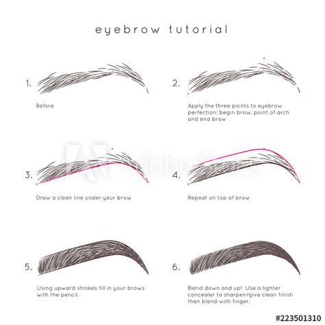 Natural Eyebrows Growth, Shaped Eyebrows, How To Make Up, Sparse Eyebrows, Brow Products, Eyebrow Makeup Tutorial, Makeup Order, Eyebrow Makeup Tips, Eyebrow Growth