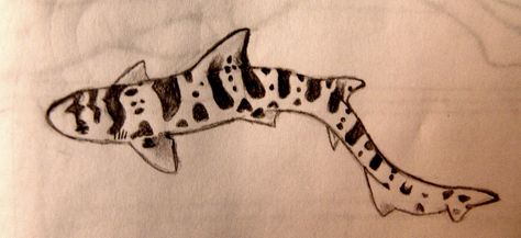 Leopard shark tattoo idea Aesthetic Shark Tattoo, Bamboo Shark Tattoo, Leopard Shark Drawing, Zebra Shark Tattoo, Leopard Shark Tattoo, Lemon Shark Tattoo, Sea Animal Tattoos, Aquatic Tattoo, Print Making Designs