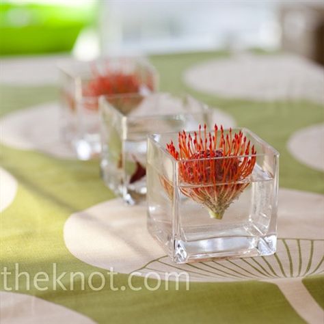 Love the single floating flower look, and the use of a non-traditional bloom - maybe have floating candles too? Submerged Flower Centerpiece, Protea Centerpiece, Floating Flower Centerpieces, Pincushion Protea, Simple Centerpiece, Wedding Party Centerpieces, Japanese Theme, Protea Flower, Budget Friendly Wedding