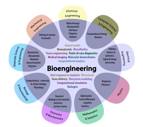 Biochemical Engineering, Computational Biology, Medical Engineering, Tissue Engineering, Robotics Engineering, Computer Science Engineering, Biomedical Science, Engineering Science, Biomedical Engineering