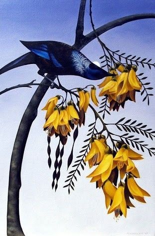 www.mirandawoollett.com tui on kowhai sold art paintings for sale Blackbird Art, Kiwi Artist, Nz Birds, Team Table, Tui Bird, Art Effects, Bus Art, Corrugated Iron, Bird Stencil