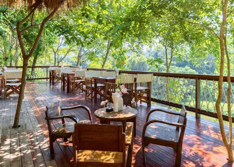 Gallery | Hintok River Camp River Restaurant, Tented Camp, Lodge Design, River Camp, Glamping Resorts, Camping Places, Rest House, Hotel Website, Outdoor Cafe