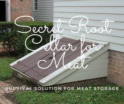 How To Build A Root Cellar For Meat | Updated | Rural Money Trash Can Root Cellar, Root Cellar Attached To House, Small Root Cellar, Build A Root Cellar, Exterior House Doors, Sustainable Homestead, Homestead Ideas, Root Cellar, Basement House