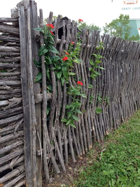 Withy-wattle fence in Sandy Lake, Manitoba Tree Branch Privacy Fence, Fence Made Of Branches, Cottage Garden Fencing, Grapevine Fence, Natural Fence Ideas, Driftwood Fence, Natural Fencing, Natural Fences, Wattle Fence