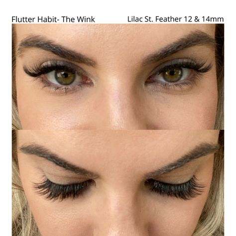 Flutter Habit vs. Lilac St. Lashes | Lauren Erro Flutter Habit Lashes Application, Lilac Street Lash Map, Lilac St Lashes, Lilac Street Lashes, Flutter Habit Lashes, Lilac Lashes, Flutterhabit Lashes, Flutter Lashes, Perfect Eyelashes