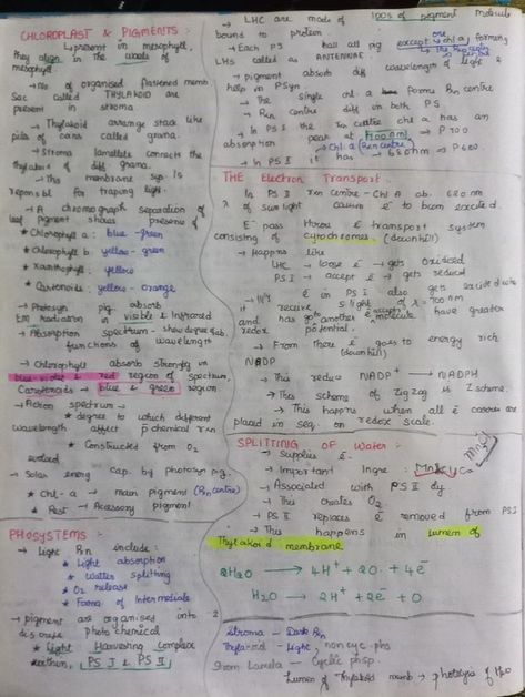 Notes of Photosynthesis in Plants till Chemiosmotic Hypothesis of chapter of Unit Human Physiology. Chemiosmotic Hypothesis, Human Physiology, Photosynthesis, Biology, Bullet Journal, The Unit, Human, Plants, Quick Saves