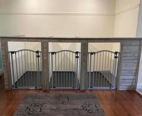 Indoor Boarding Kennels For Dogs, Dog Grooming Kennel Ideas, Basement Dog Kennel Ideas, Indoor Kennels For Dogs, Garage Dog Kennel Ideas, Indoor Dog Kennel Ideas, Dog Bedrooms In House, Dog Kennel Ideas Indoor, Dog Boarding Facility Ideas