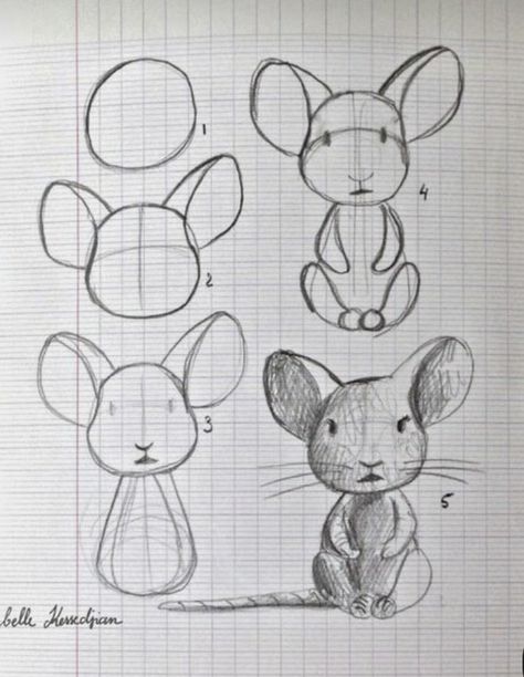 Maus Illustration, Drawing Lessons, Doodle Drawings, Drawing Techniques, Learn To Draw, 그림 그리기, Mice, Drawing Tutorial, Doodle Art