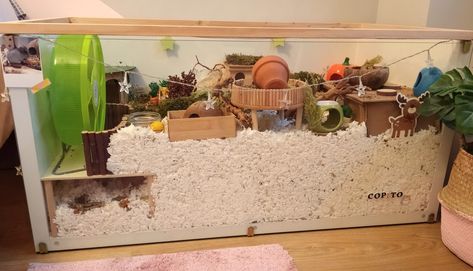 Natural Ikea Linnmon Hamster Cage for a dwarf hamster 🌱 (around 880 sq inches / 5700 sq cm). Substrates used: Paper bedding (Kaytee Clean and Cozy) - Reptile sand - Coconut fiber - Coconut chips - Corn cob bedding - Beech chips - Reptile moss - Aspen (snake) bedding. I also use dried flowers, herbs and a variety of sprays: red and yellow millet, red and white sorghum, canary grass, panicle millet, flax sprays, etc. Ikea Linnmon Hamster Cage, Snake Bedding, Hamster Enclosure, Hamster Ideas, Ikea Linnmon, Mouse Cage, Hamster Life, Pet Rodents, Hamster Habitat